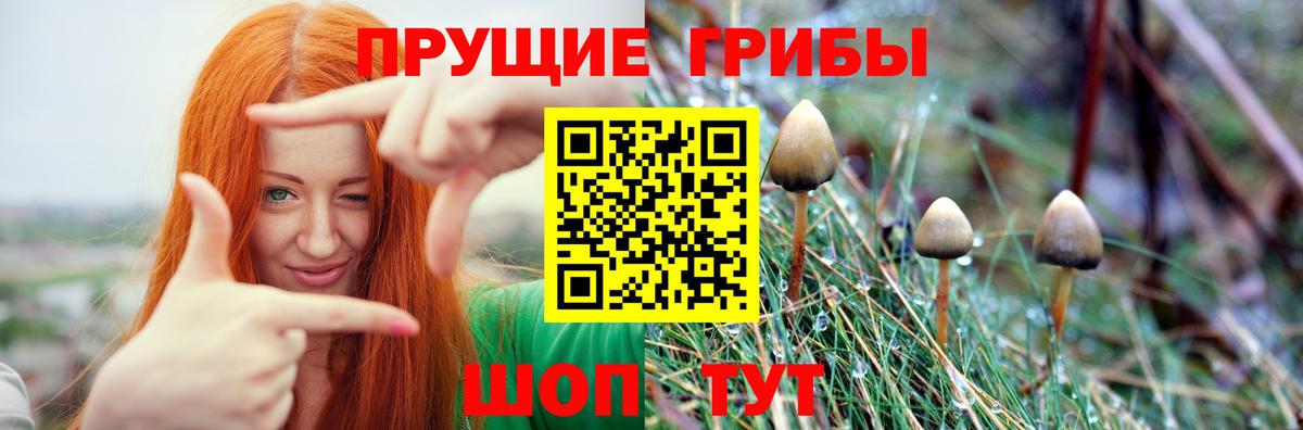 Псилоцибиновые грибы Cubensis  Вход с VPN  даркнет сайт  Бузулук  Галлюциногенные грибы GOLDEN TEACHER 