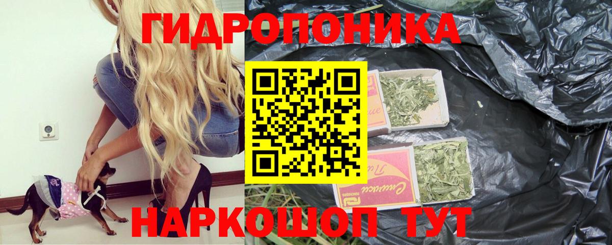 Бошки Шишки VHQ  Вход с VPN  Конопля план  Бузулук  Марихуана THC 21% 
